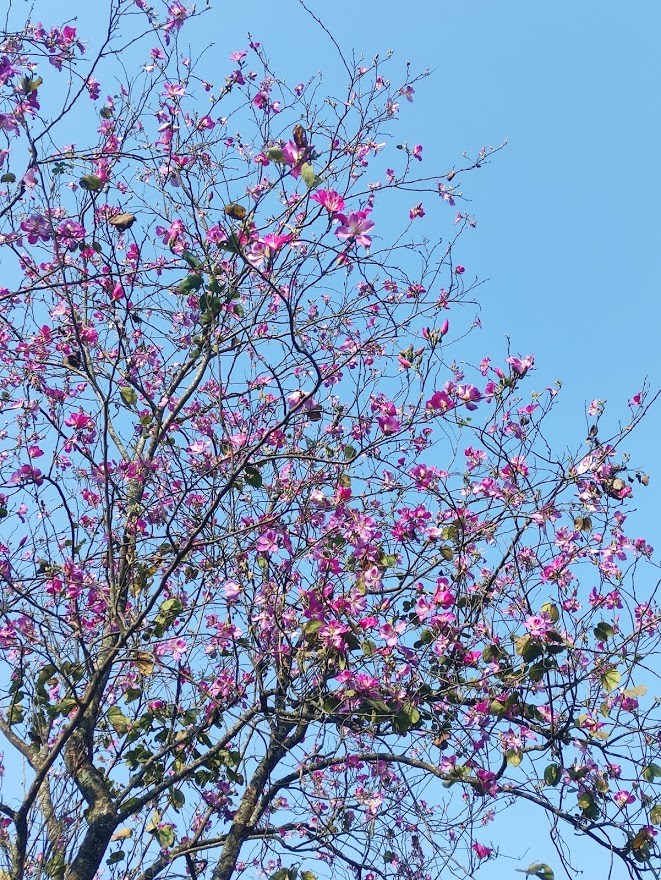 Week 34 - Might be falling in the capitalism trap